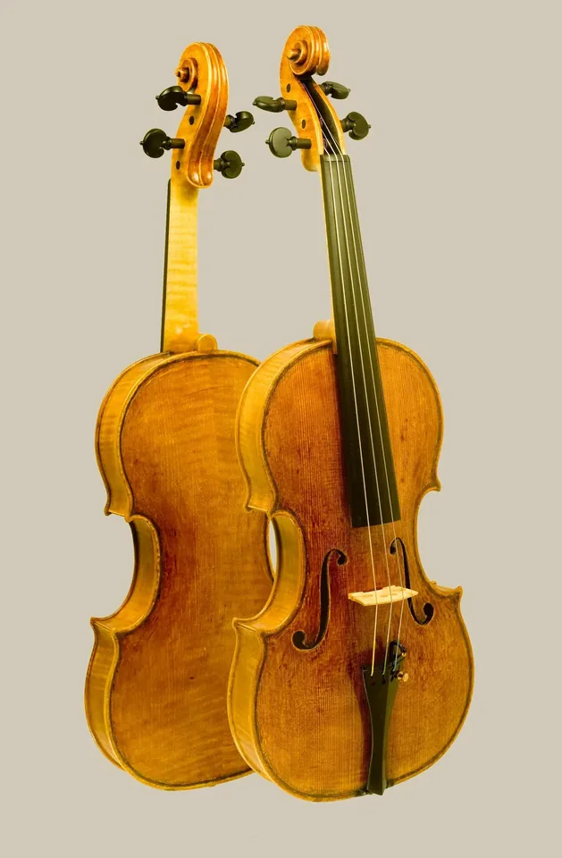Cello da spalla